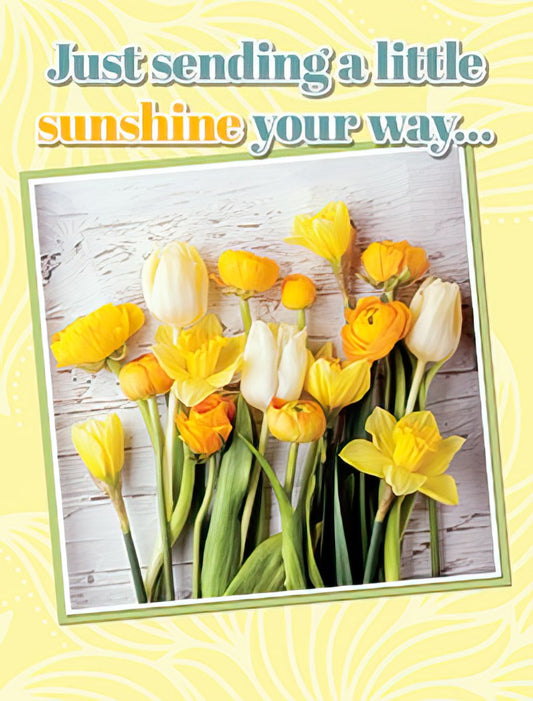 Just sending a little sunshine your way...