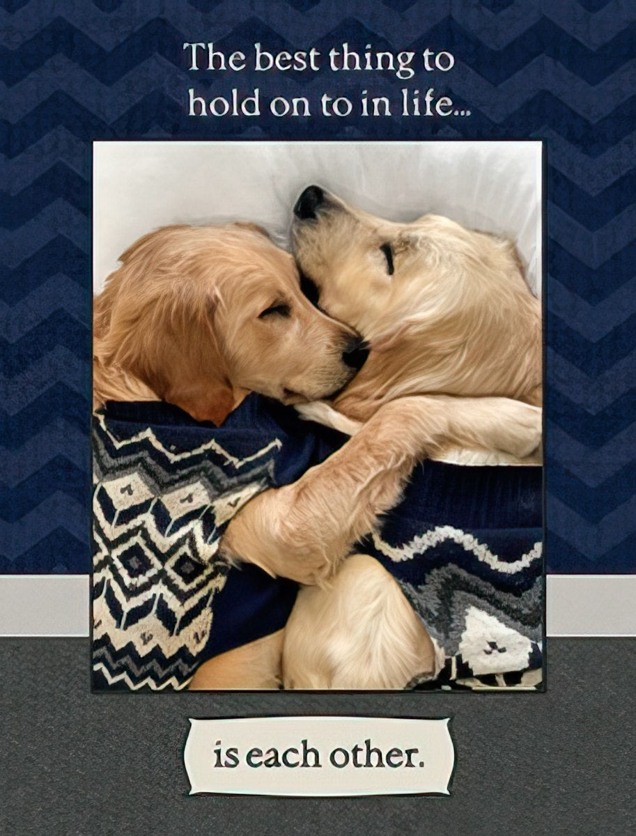 Front of a romantic anniversary greeting card featuring two golden retriever puppies snuggling under a patterned blanket. Text reads 'The best thing to hold on to in life... is each other.' on a dark blue chevron background, perfect for a spouse or partner.