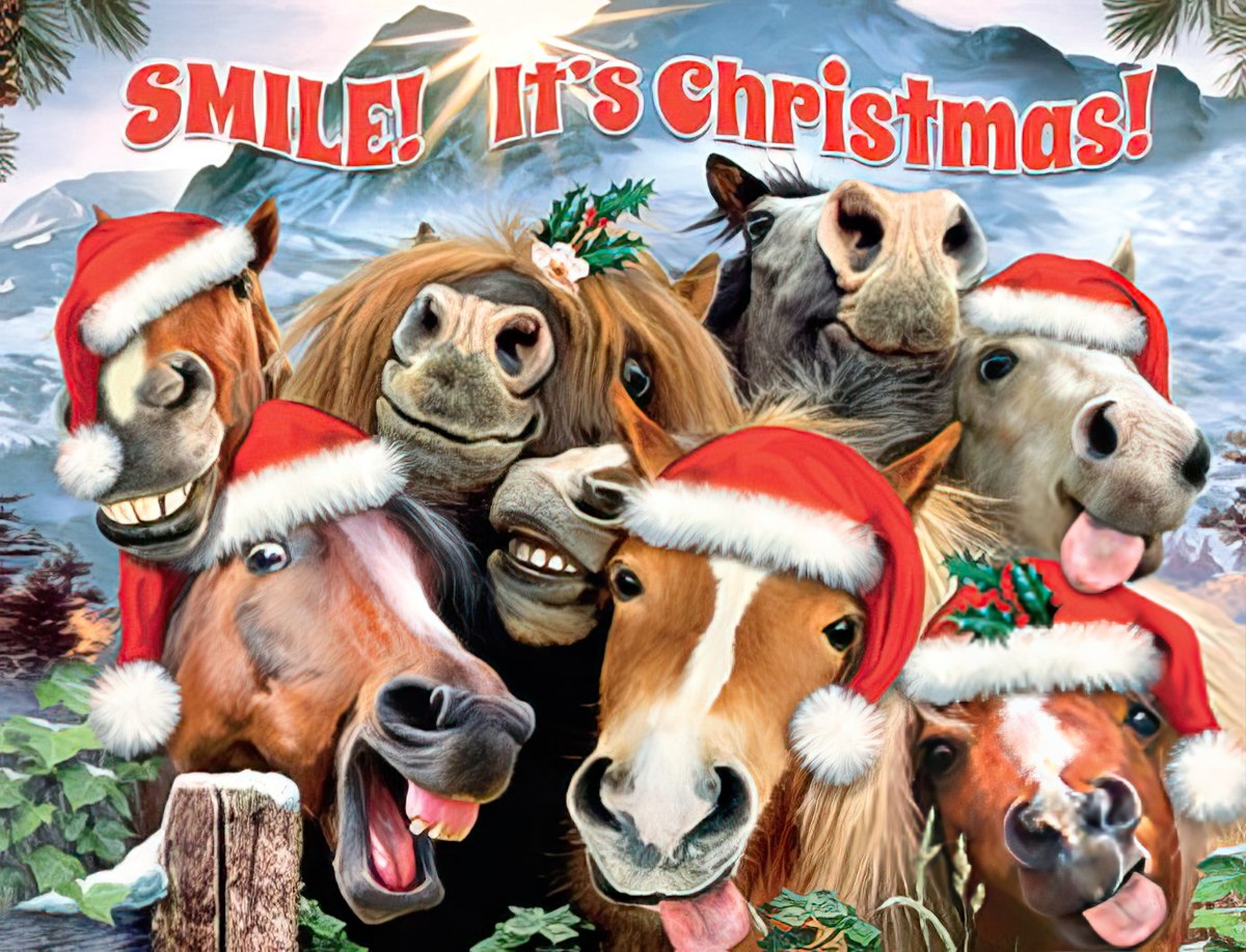 Several horses with Christmas hats making funny faces for a photo