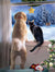 Dog and cat looking out window Christmas Boxed Notelets