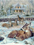 Four deer sitting in snow with house in background