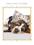 Heartfelt encouragement greeting card featuring a cute, sleepy tabby kitten resting on a tired Basset Hound puppy, with the text 'Adulting is Hard'. Perfect for friends needing a pick-me-up or support during challenging times.