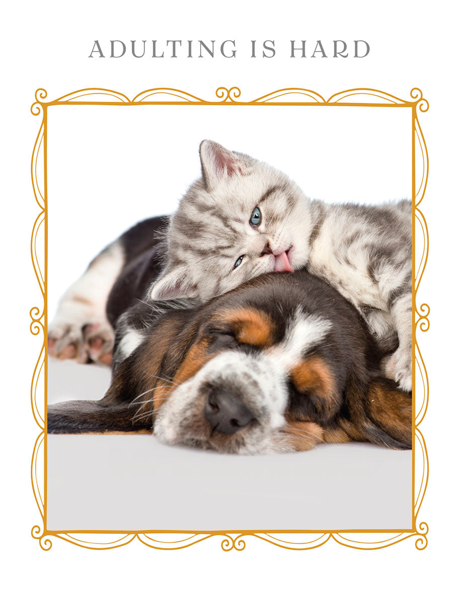 Heartfelt encouragement greeting card featuring a cute, sleepy tabby kitten resting on a tired Basset Hound puppy, with the text 'Adulting is Hard'. Perfect for friends needing a pick-me-up or support during challenging times.