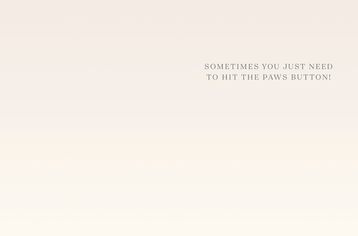 Humorous lighthearted greeting card with the text 'SOMETIMES YOU JUST NEED TO HIT THE PAWS BUTTON!' in dark grey on a minimalist cream background, perfect for a friend needing a break or a smile.