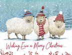 Front of a lighthearted greeting card set featuring three cartoon sheep in colorful knitted winter hats and scarves, standing in a snowy landscape. The card reads, 'Wishing Ewe a Merry Christmas...'