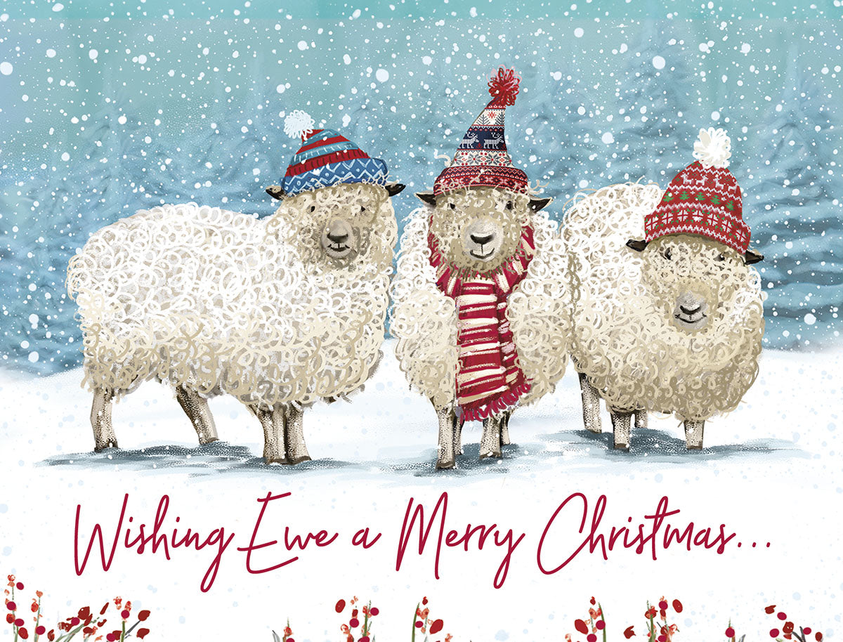 Front of a lighthearted greeting card set featuring three cartoon sheep in colorful knitted winter hats and scarves, standing in a snowy landscape. The card reads, 'Wishing Ewe a Merry Christmas...'