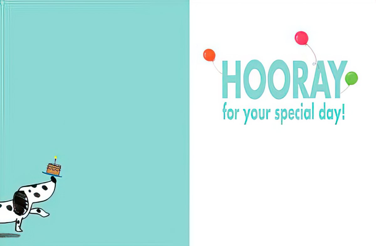 Inside of a birthday card, light blue left side, white right side with "HOORAY for your special day!" and balloons.