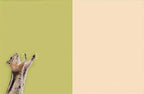 Inside view of a thank you greeting card featuring a cheerful chipmunk with raised paws, ready for a heartfelt message on a split green and cream background.