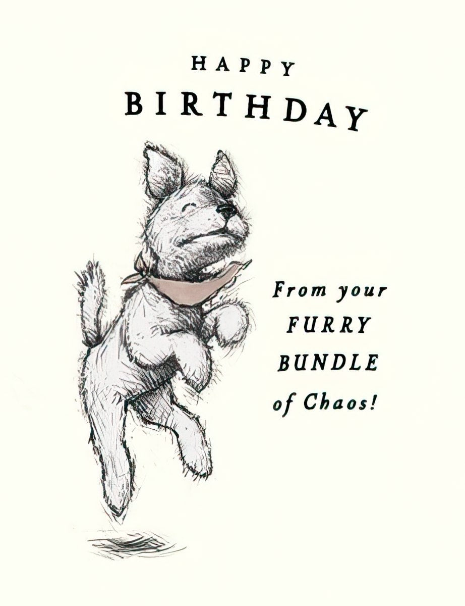 Front of a playful white cartoon dog greeting card, featuring a jumping dog with a bandana and text 'HAPPY BIRTHDAY From your FURRY BUNDLE of Chaos!', perfect for pet lovers and spouses.