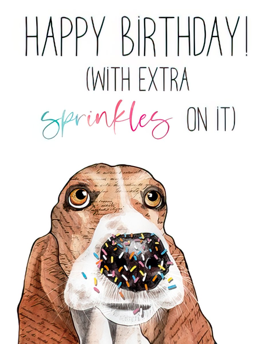 Close-up of a cute basset hound with a chocolate donut covered in colorful sprinkles balanced on its nose, against a white background with 'HAPPY BIRTHDAY! (WITH EXTRA sprinkles ON IT)' text in playful font. Perfect for a fun celebrant.