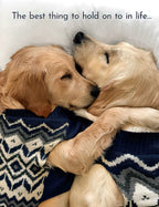 Two adorable golden retriever dogs cuddling under a blue patterned blanket, representing love and companionship, perfect for an anniversary greeting card.