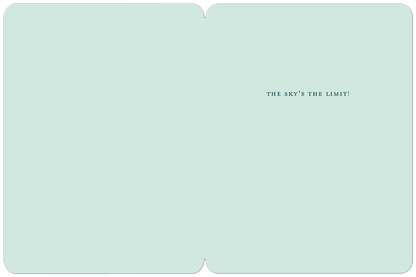 96098.p02.png