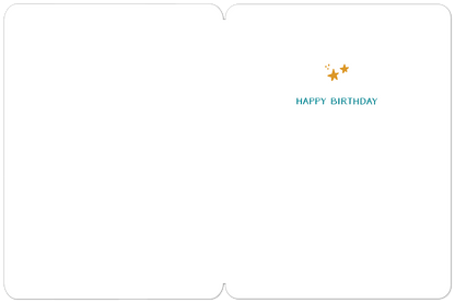 96104.p02.png