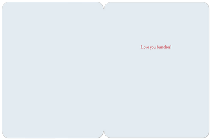 Inside of a Mother's Day greeting card, plain light blue with the message 'Love you bunches!' in red script.