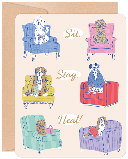 Cute get well card featuring various dog breeds sitting in armchairs with 'Sit. Stay. Heal!' text. Perfect for dog lovers.