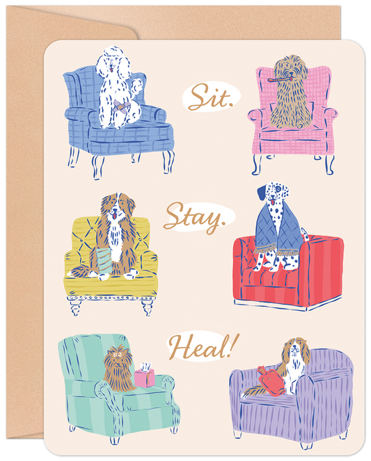 Cute get well card featuring various dog breeds sitting in armchairs with 'Sit. Stay. Heal!' text. Perfect for dog lovers.