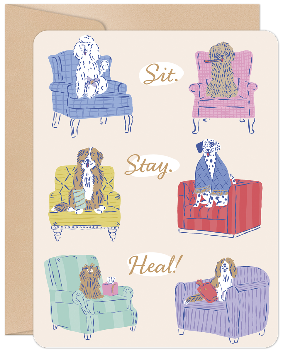 Charming get well greeting card featuring six different dog breeds (poodle, doodle, bernese mountain, dalmatian, pomeranian, cavalier King Charles spaniel) resting comfortably in colorful armchairs with the playful message 'Sit. Stay. Heal!' in a handwritten font. Perfect for dog lovers recovering from illness or injury.