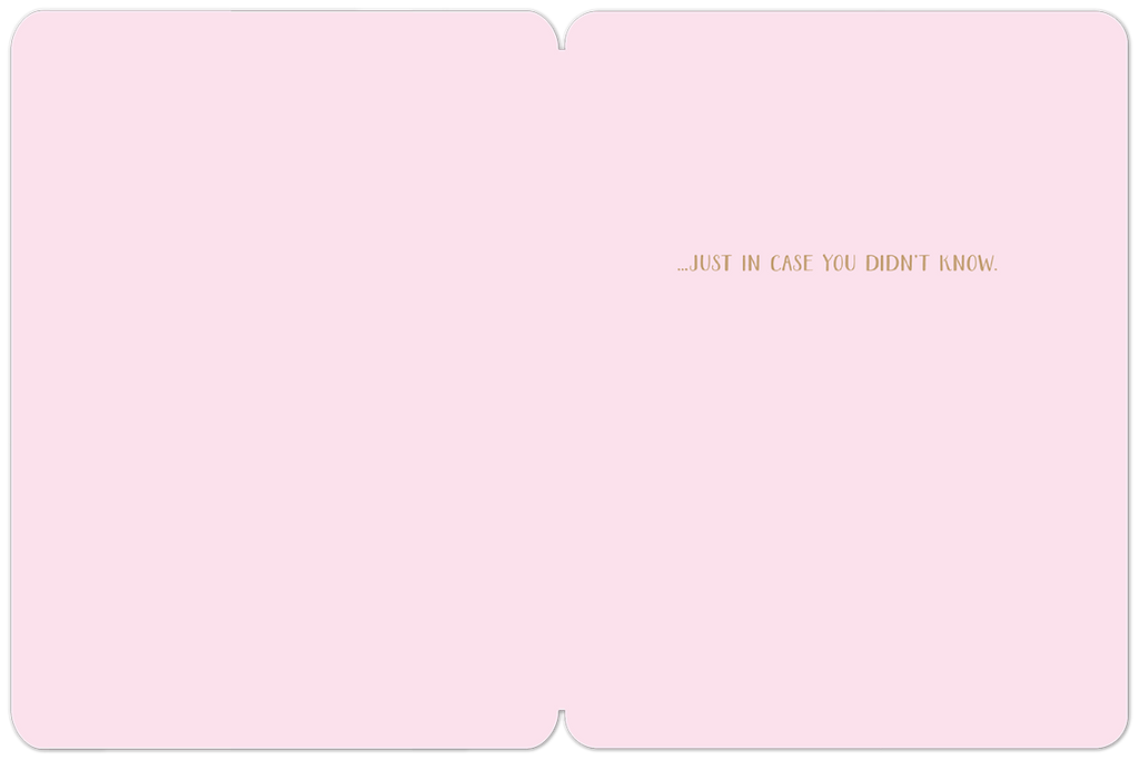 Interior view of an uplifting pink greeting card with the comforting message '...JUST IN CASE YOU DIDN'T KNOW.' offering gentle support.