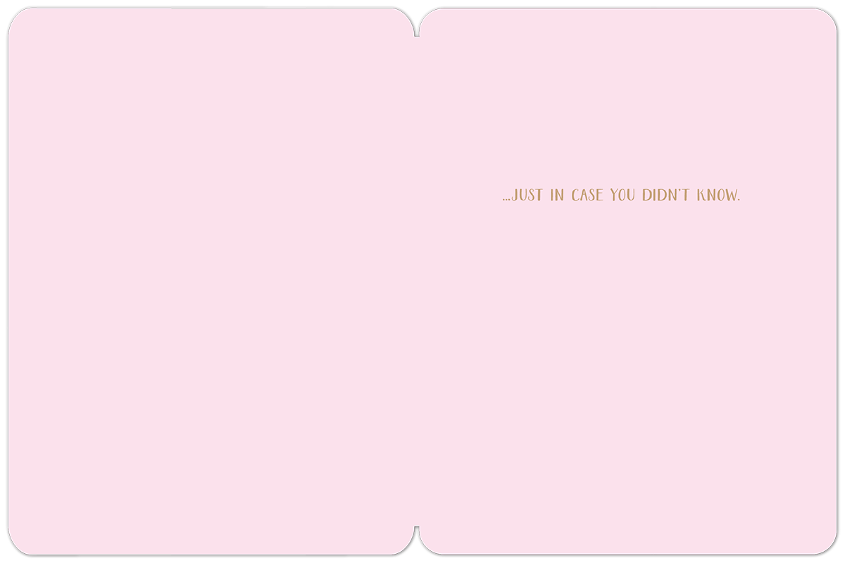Open interior of a pink romantic greeting card with the simple gold text '...JUST IN CASE YOU DIDN'T KNOW.' perfect for a spouse or partner.