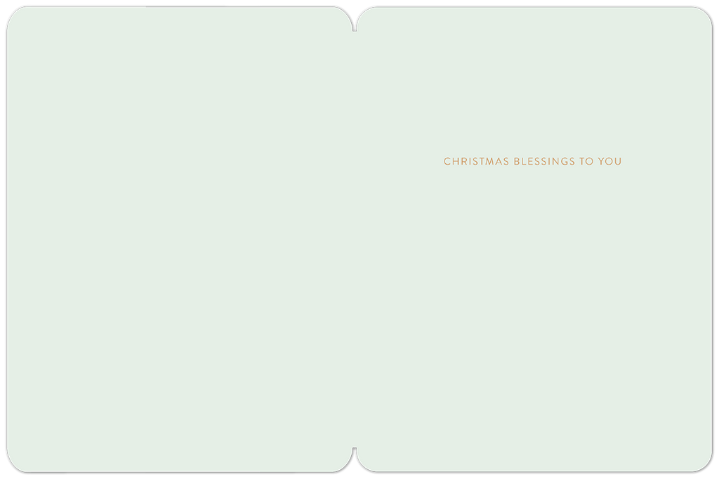 Inside of a religious Christmas card displaying the elegant text 'CHRISTMAS BLESSINGS TO YOU' on a light green background, ready for a personal message.