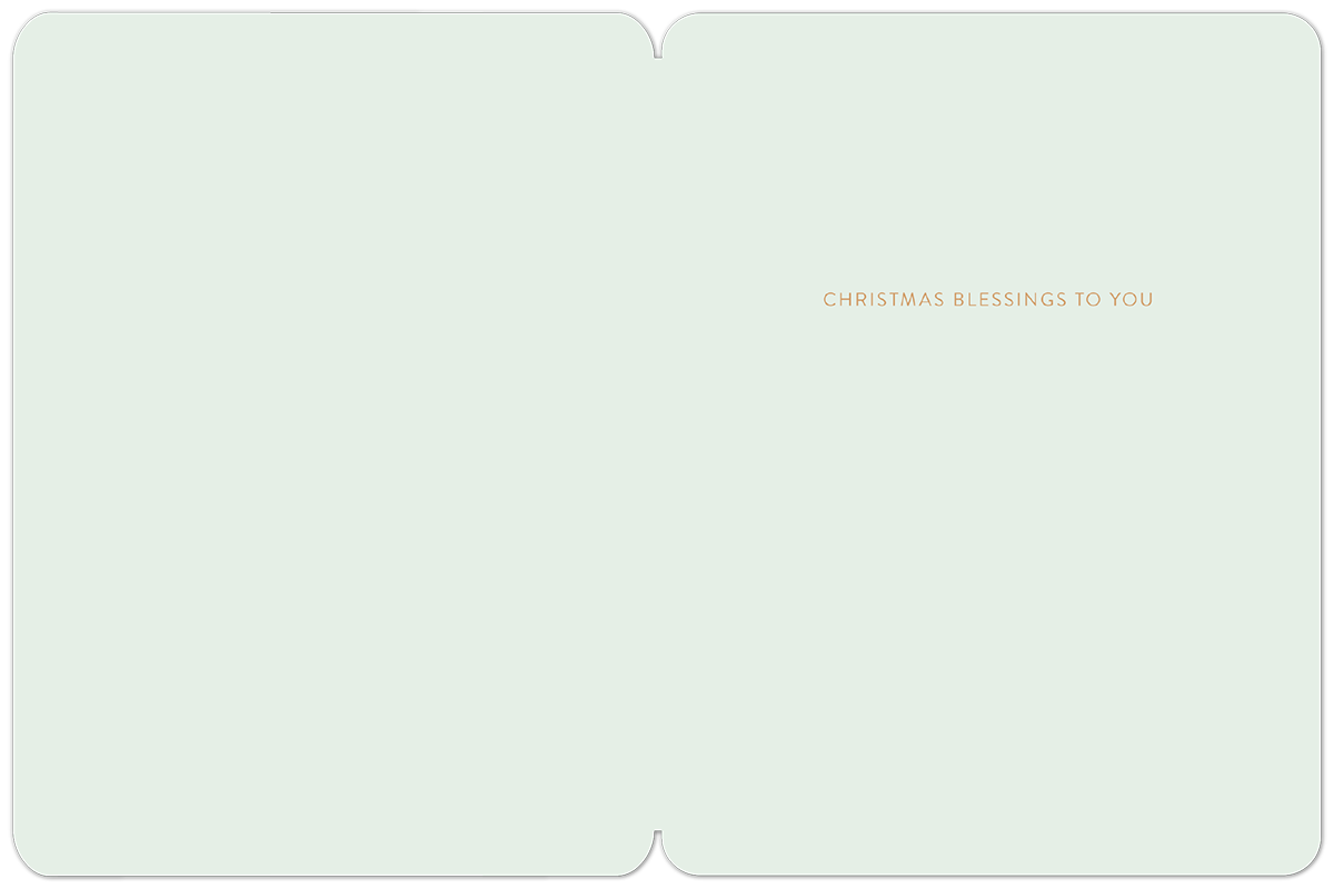 Inside of a religious Christmas card displaying the elegant text 'CHRISTMAS BLESSINGS TO YOU' on a light green background, ready for a personal message.
