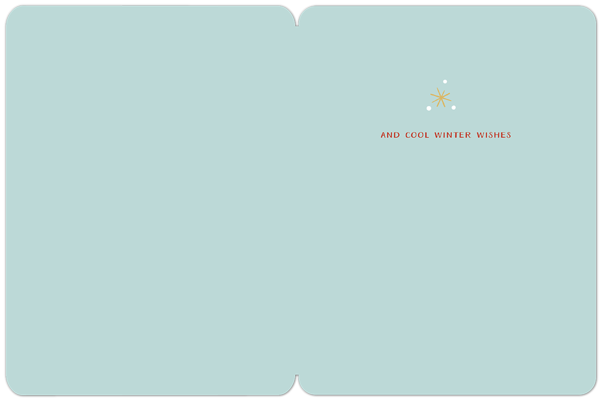 Inside of a holiday greeting card featuring a minimal snowflake design and the message 'AND COOL WINTER WISHES' on a light blue background.