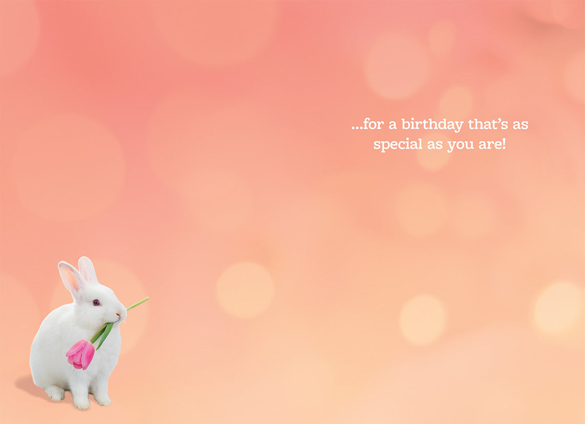 Bright, Happy Wishes