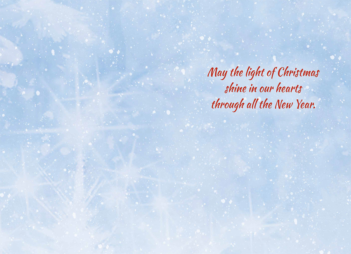 May the light of Christmas shine...