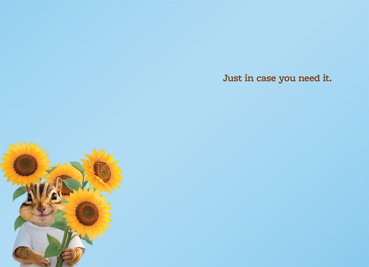A little extra sunshine…
