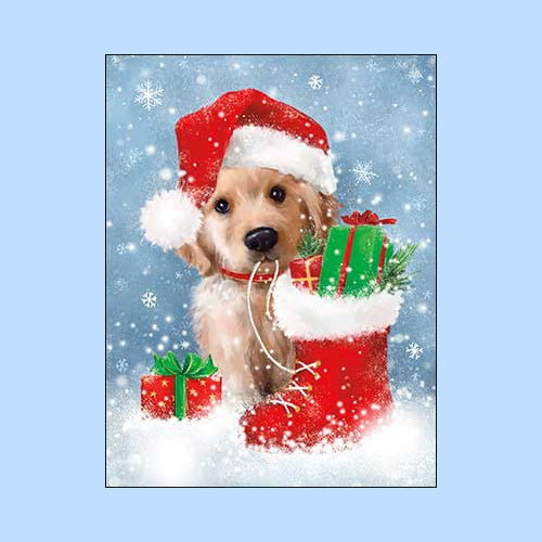 Christmas Cards & Holiday Greeting Cards Leanin' Tree