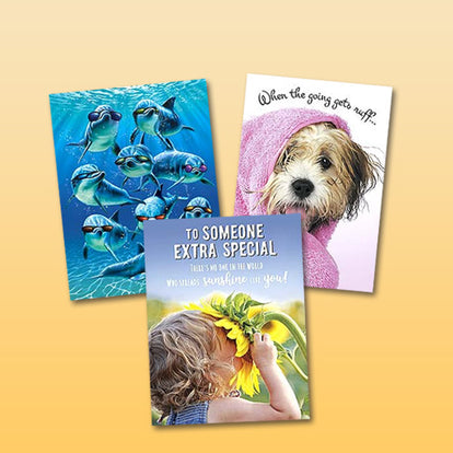 All-Occasion Greeting Cards