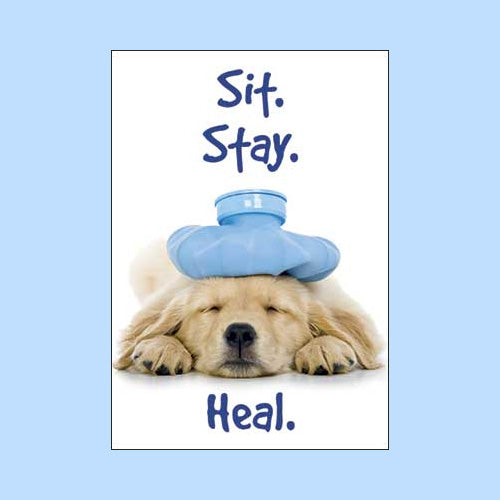 Funny Get Well Cards