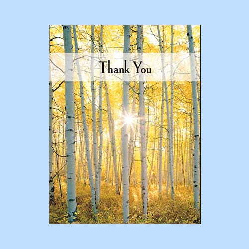 Thank You Cards for Him
